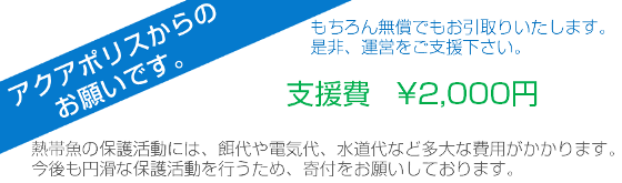 熱帯魚の買取保護活動には、餌代や電気代、水道代など多大ない費用がかかります。今後も円滑な保護活動を行うために、寄付をお願いしております。